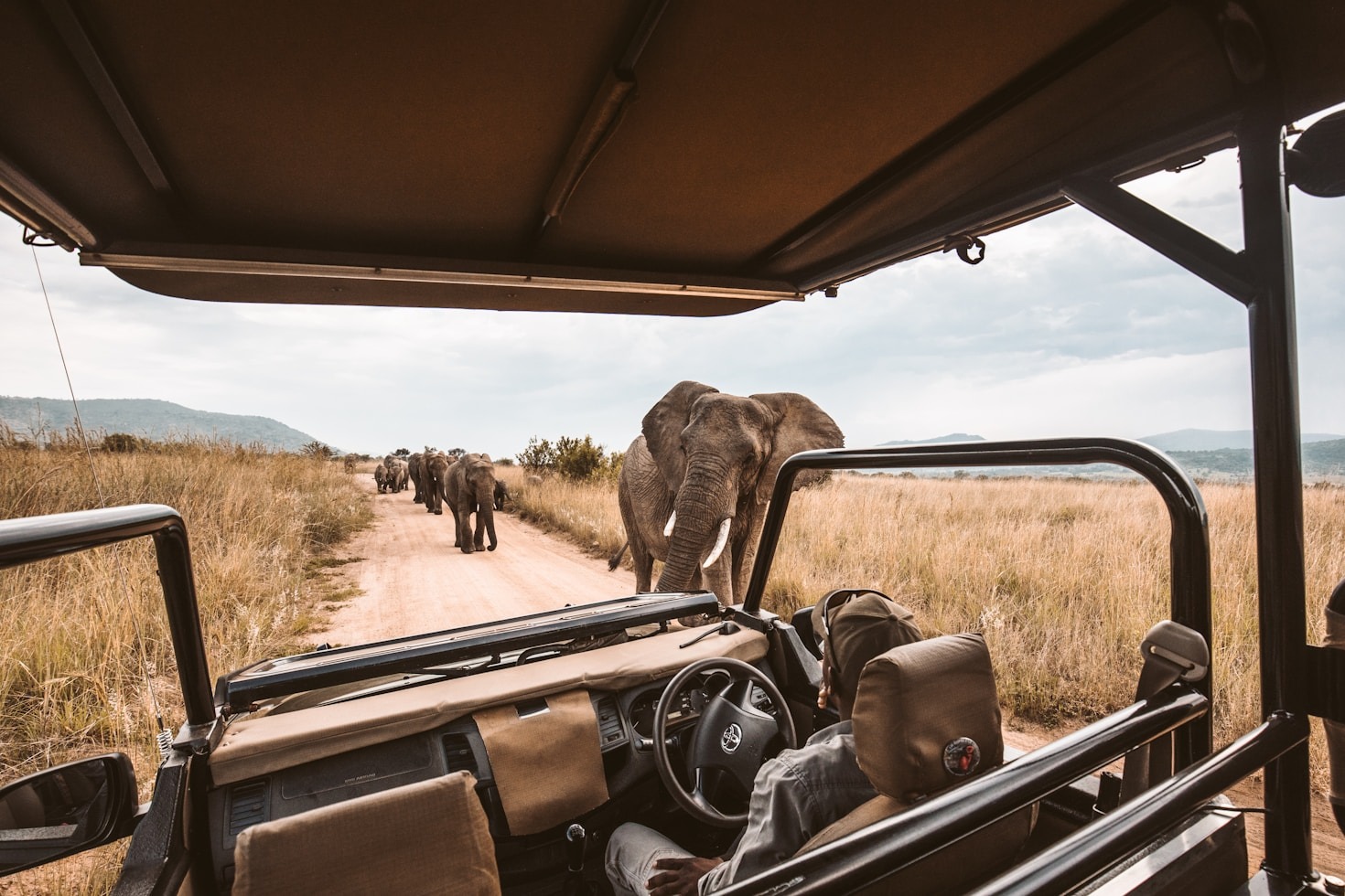 Top Tips for Planning Your Serengeti Safari Adventure