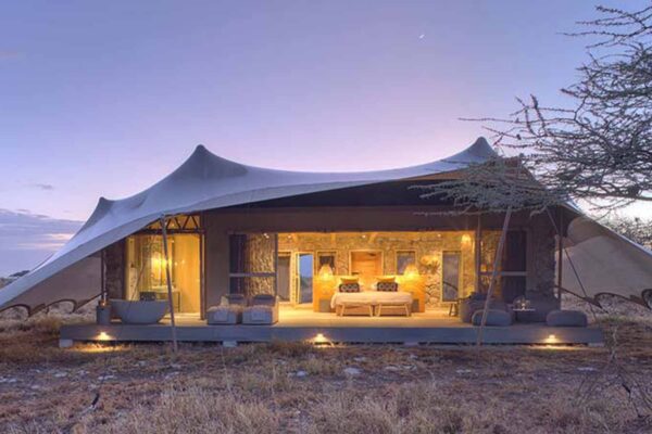 Serengeti Experts Serengeti Experts