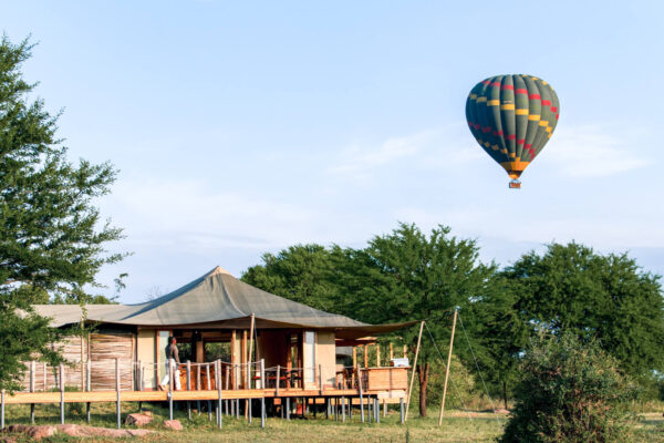 Serengeti Safari Serengeti Safari