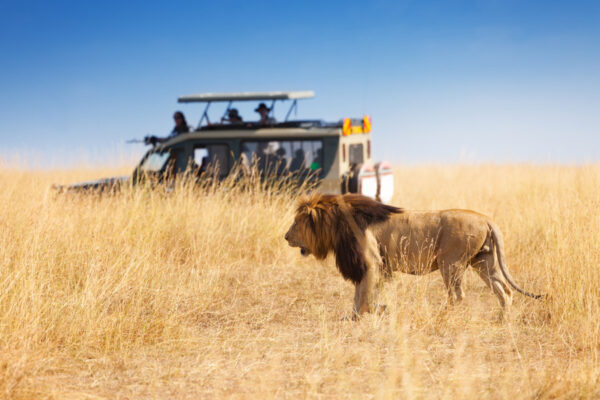 3-Day Serengeti Safari 3-Day Serengeti Safari