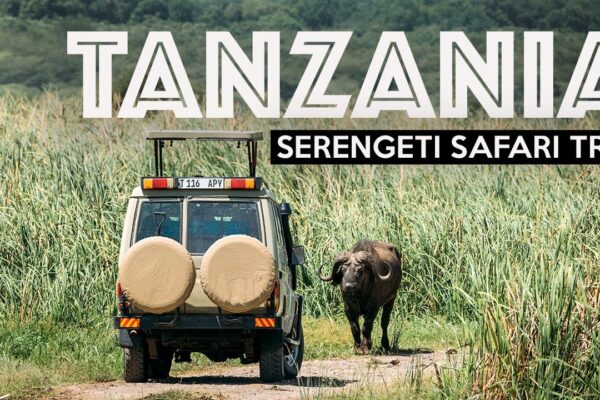 3-Day Serengeti Safari Tanzania 3-Day Serengeti Safari Tanzania