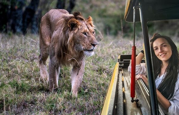 7-Day Serengeti Luxury Safari Package 7-Day Serengeti Luxury Safari Package