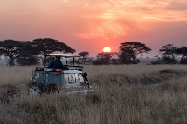 8-Day Kenya and Tanzania Safari 8-Day Kenya and Tanzania Safari