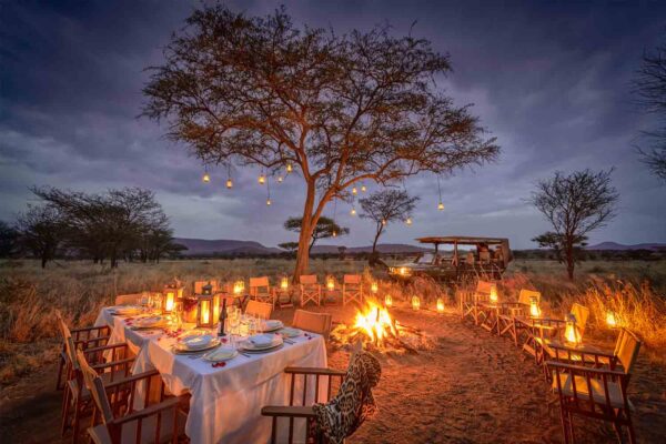 Luxury Bush Dinners Luxury Bush Dinners