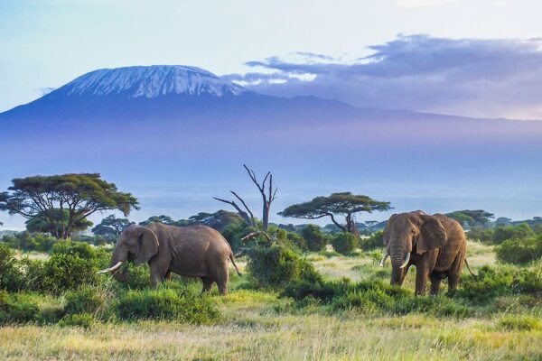 Mount Kilimanjaro National Park Mount Kilimanjaro National Park
