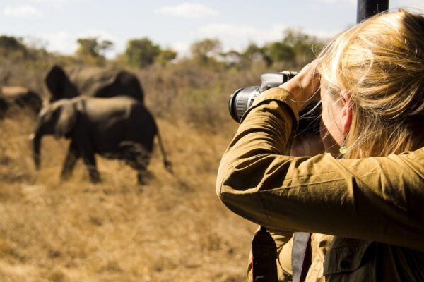 Serengeti Photographic Safaris Serengeti Photographic Safaris