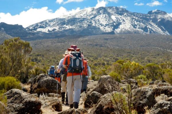 7-Day Kilimanjaro Umbwe Route Hike 7-Day Kilimanjaro Umbwe Route Hike