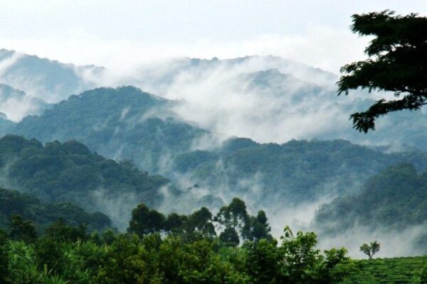 Bwindi National Park Bwindi National Park