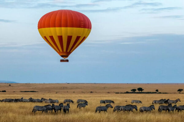 Hot Air Balloon Safaris Hot Air Balloon Safaris