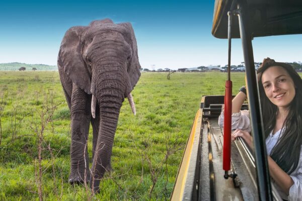 Kilimanjaro Climb and Serengeti Safari Kilimanjaro Climb and Serengeti Safari