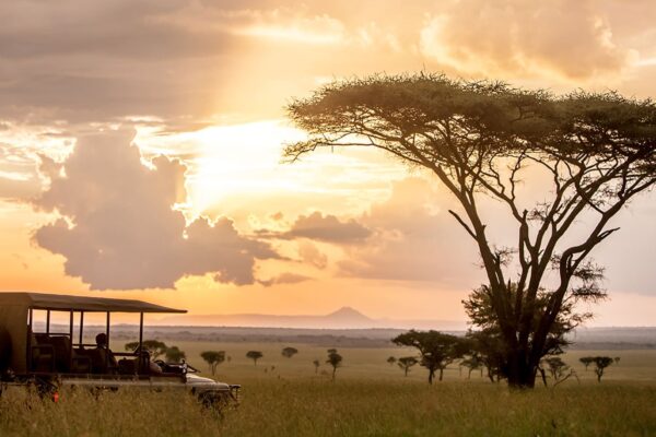 Privacy Policy Privacy Policy