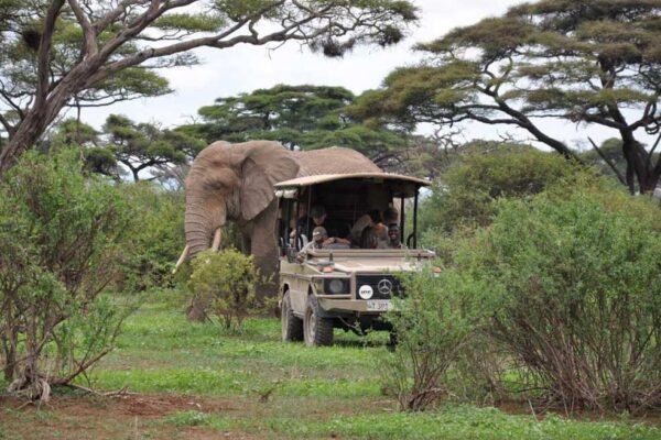 1-Day Arusha National Park 1-Day Arusha National Park