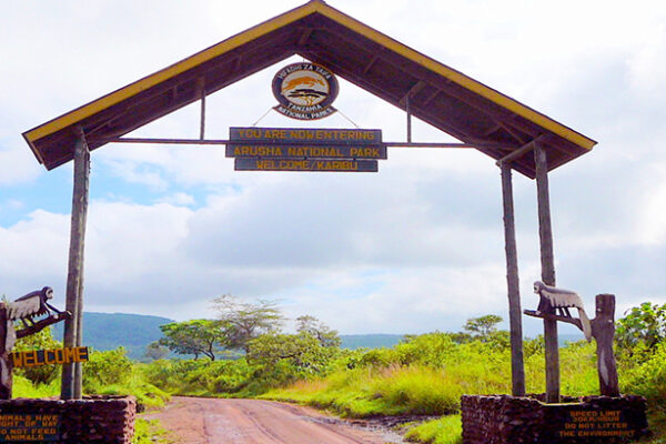 1-Day Arusha National Park 1-Day Arusha National Park
