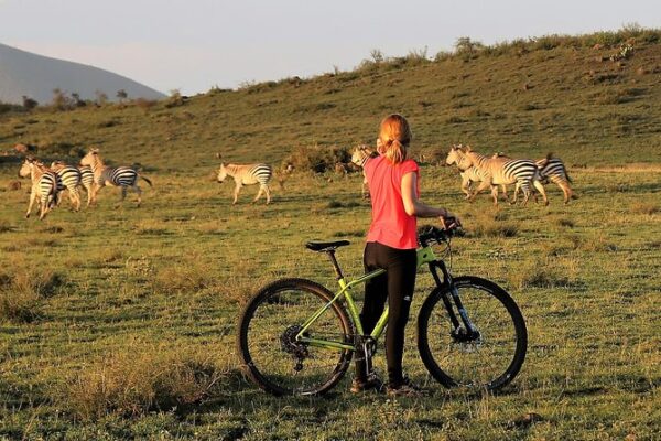 1-Day Arusha National Park 1-Day Arusha National Park