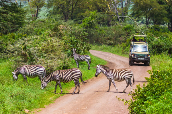 1-Day Arusha National Park Day Trip 1-Day Arusha National Park