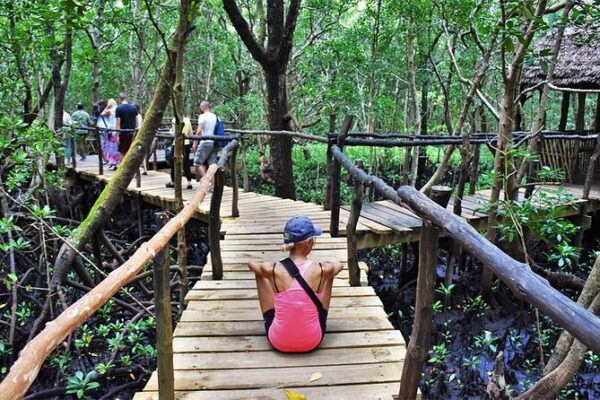 1-Day Jozani Forest Walk 1-Day Jozani Forest Walk