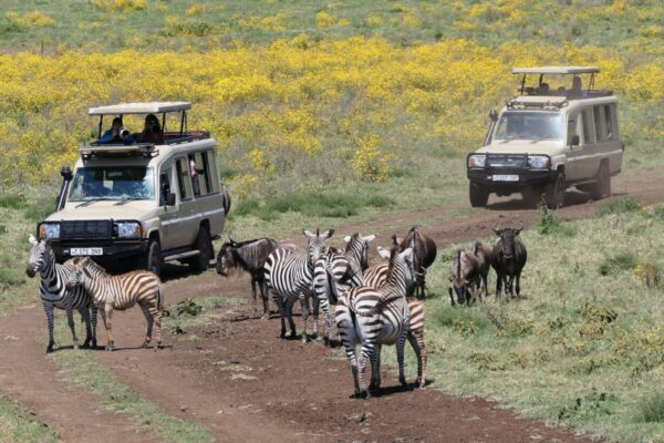 1-Day Ngorongoro Crater Safari 1-Day Ngorongoro Crater Safari