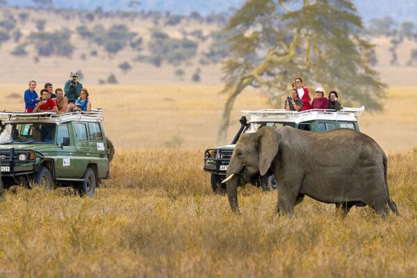 1-Day Ngorongoro Crater Safari 1-Day Ngorongoro Crater Safari