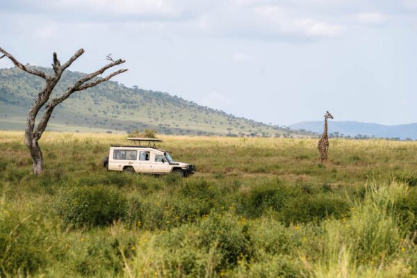 1-Day Serengeti Safari 1-Day Serengeti Safari