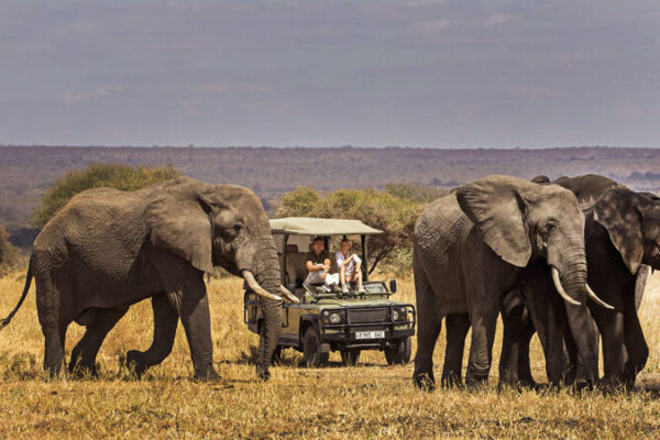 1-Day Tarangire Safari 1-Day Tarangire Safari