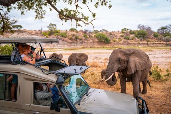 1-Day Tarangire Safari 1-Day Tarangire Safari