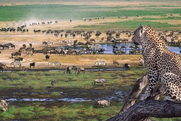 6-Day Serengeti Safari 6-Day Serengeti Safari