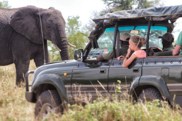 7-Day Serengeti Safari 7-Day Serengeti Safari