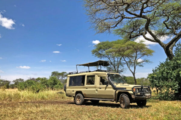 Bwindi and Serengeti Bwindi and Serengeti
