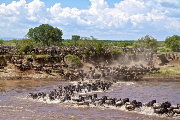 Great Migration Itinerary Great Migration Itinerary