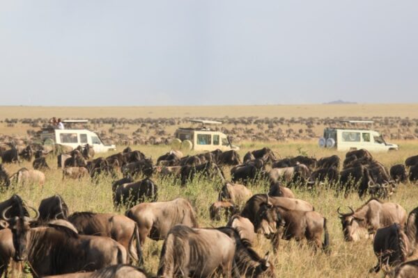 Great Migration Itinerary Great Migration Itinerary