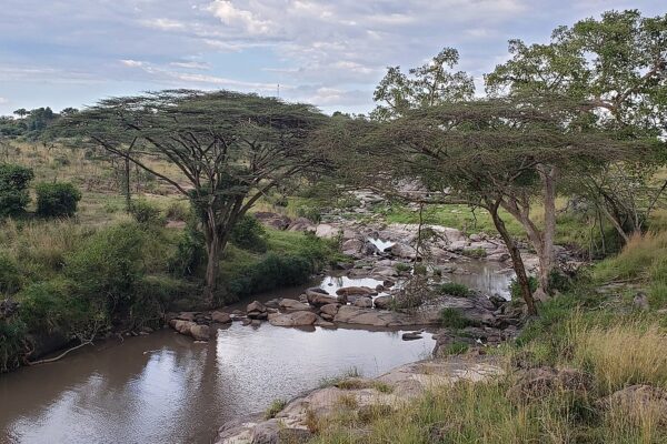 Grumeti River Grumeti River