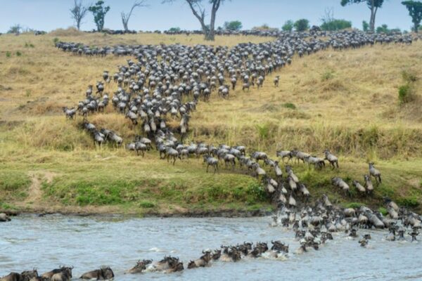 Grumeti River Grumeti River