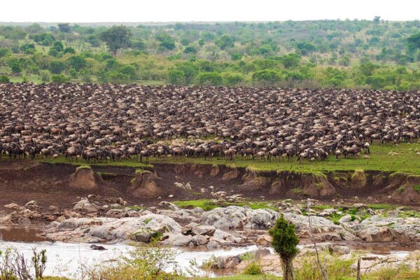 Grumeti River Grumeti River