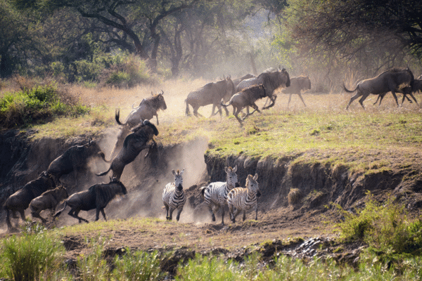 Grumeti River Grumeti River