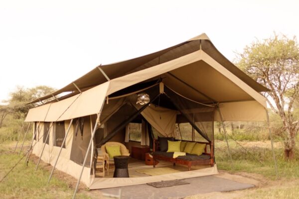 Hidden Gems in Serengeti Hidden Gems in Serengeti