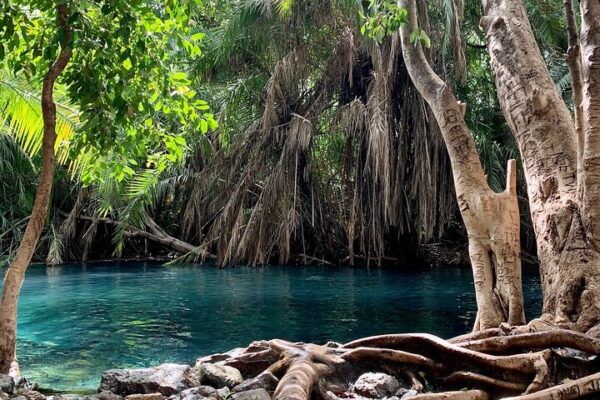 Hot Springs Day Tour From Mosh Tanzania Hot Springs Day Tour From Mosh