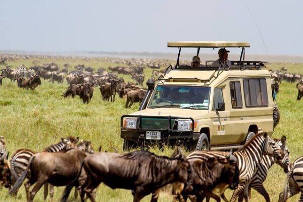 How to get to Serengeti How to get to Serengeti