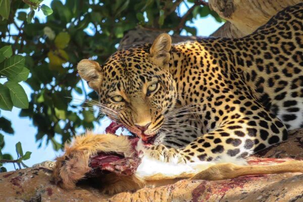 Is Ngorongoro Safe Is Ngorongoro Safe