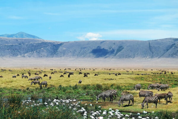Is Ngorongoro Safe Is Ngorongoro Safe