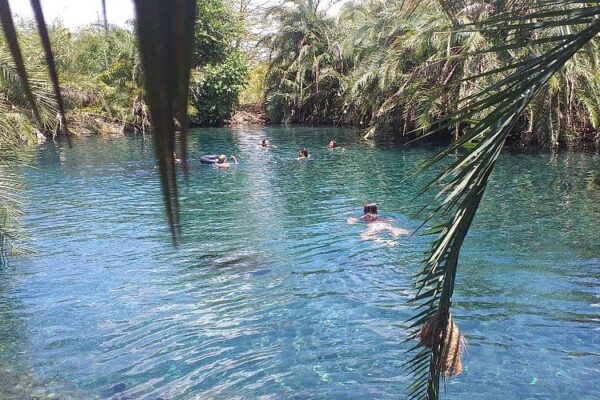 Kikuletwa Hot Springs Kikuletwa Hot Springs