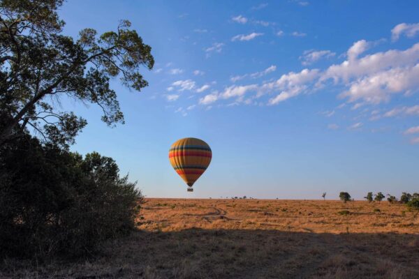 Luxury Serengeti Safari Luxury Serengeti Safari