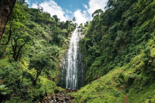 Materuni Waterfall Materuni Waterfall