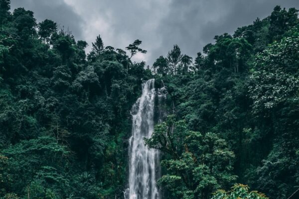 Materuni Waterfall Materuni Waterfall
