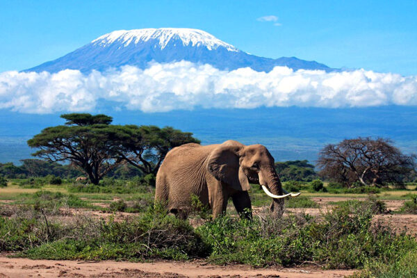 Mount Kilimanjaro Mount Kilimanjaro