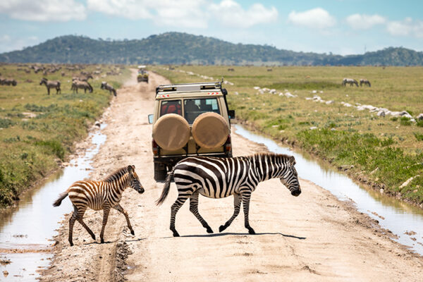 Rwanda and Tanzania Rwanda and Tanzania