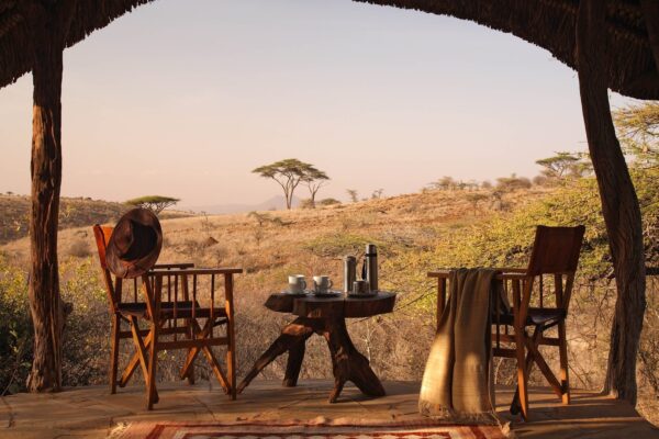 Safari Bookings Safari Bookings