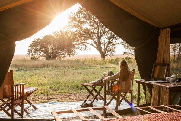 Safari Bookings Safari Bookings