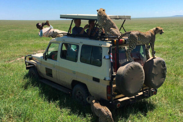 Safari and Zanzibar Safari and Zanzibar