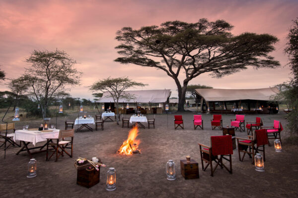 Safari and Zanzibar Safari and Zanzibar