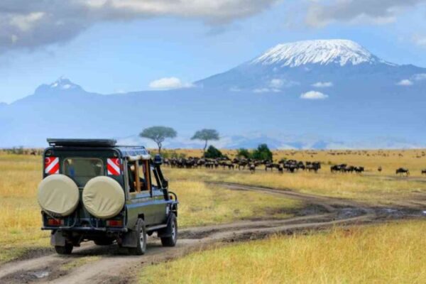 Self Drive Serengeti Self Drive Serengeti